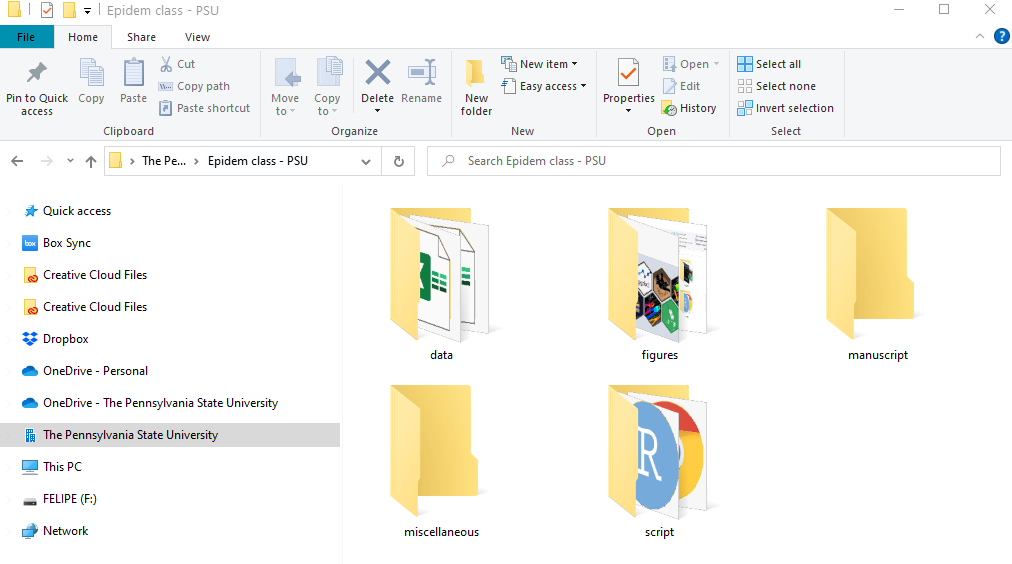 Figure folders. An example of a folder organization for creaing a R project